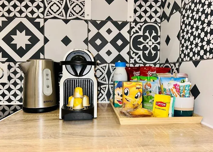 Apartment Old Town Immersion-breakfast-central-self Check-in Nice